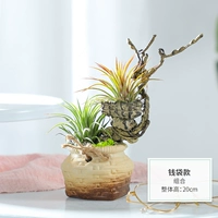 Модель Qianbag (готовый продукт)