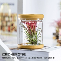 Красная эльф+прозрачная бутылка клинте