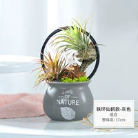 Модель Fairy Crane Crane Gray (готовый продукт)