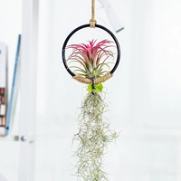 Железное кольцо