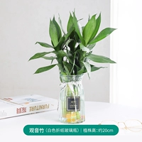 Чай Тегуаньинь, белое оригами, бутылка