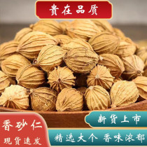 Amomum villosum seasoning 500g Chinese herbal medicine Amomum villosum golden amomum high quality Sichuan Amomum villosum braised meat stew