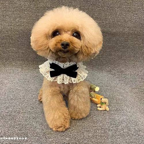 Слюнявчик, шарф, нагрудник, галстук-бабочка, аксессуар, чокер