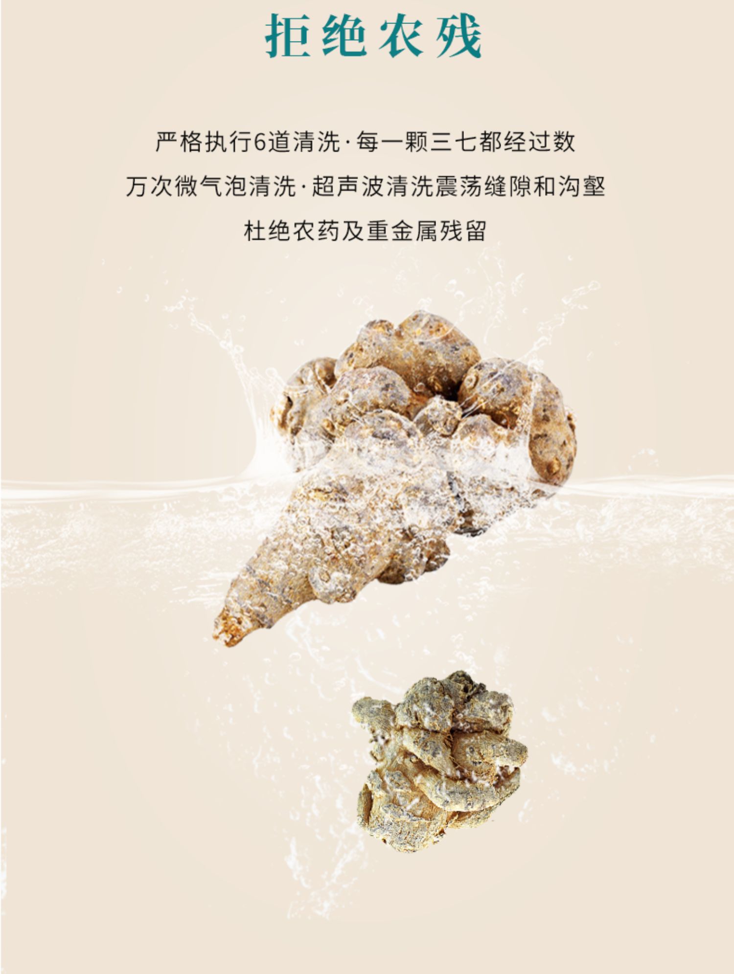 【后康时代】三七超细粉50g