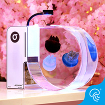 Professional Jellyfish Tank Special Cylinder Fish Tank Aquarium Living Family Color Living open Small Desktop DIY