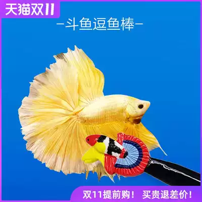 Thai Betta fish stick fish stick Betta toy show end interactive gadget Douyu special teasing original design