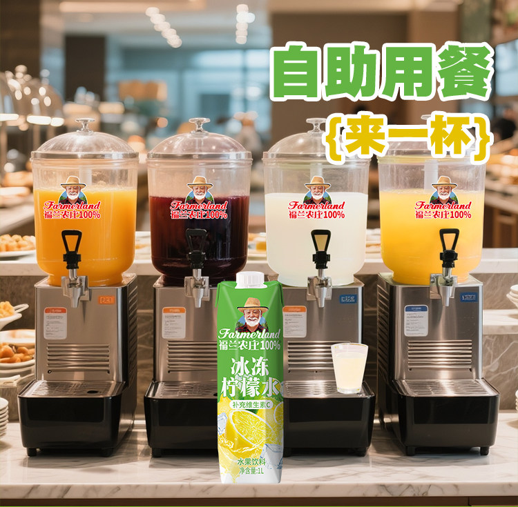 安享好物 安享E级果汁-福兰农庄冰冻柠檬水  