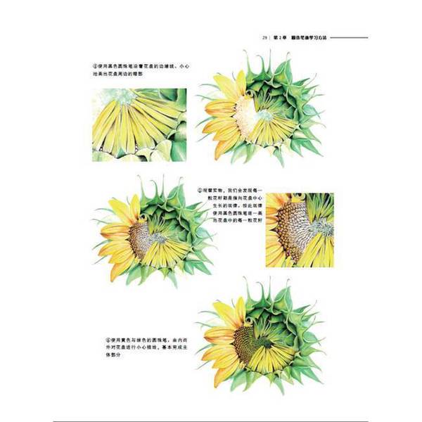 Authentic Books | Keynote: Apple Business Presentations Beyond Ppt, Edited by Xu Peng 9787115406064