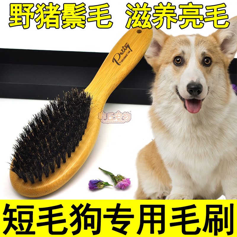 Short-haired dog special bristle hair comb comb hair artifact dog hair brush pet dog to float hair brush dog hair corgi