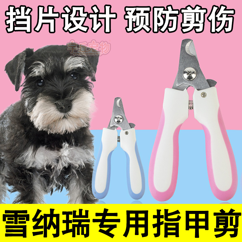 Schnauzer special nail scissors artifact polishing nail tool anti-cutting manicure pliers anti-bleeding small dog puppies - Taobao