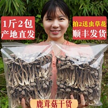 Shan Chuwu Deer antler mushroom dried deer antler mushroom Premium fresh non-wild crispy mushroom dried Gu product soup 500g mushrooms