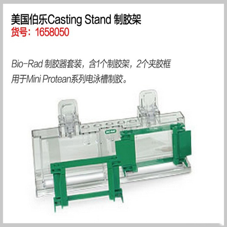 伯乐垂直电泳槽转印槽制胶架1658050美国bio-rad原装正品 非国产