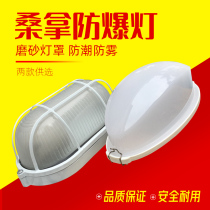 Sleap Sauna Explosion-proof Lighting Wet Steaming Room Lighting Lighting Sauna Dry Steaming Room Waterproof Fog Lighting Equipment