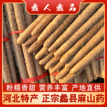 Hebei Tesan Li County Hemp Mountain Medicine Small White Mouth Fresh Green Place Of Origin Straight Hair Non Henan Charred Iron Stick