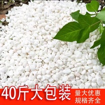 40 pounds of white stone large pebbles washed stone courtyard paving garden potted fish tank decoration white stone