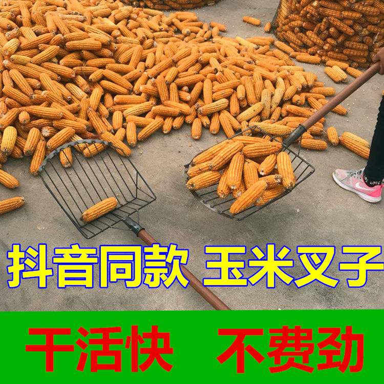 Corn shovel northeast loaded corn fork wooden handle corn shovel corn agricultural tool Tunyu rice rod steel fork