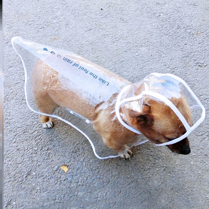  Dog Raincoat Four Feet Waterproof Full Bag Rain Proof Walking Dog Rain Cape dog Cute Beaume Patron Kökki