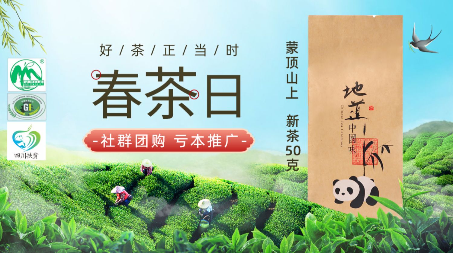 【天蜀】2021蒙顶上新茶绿茶