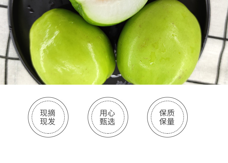 云南牛奶青枣 5斤 新鲜现摘 图2