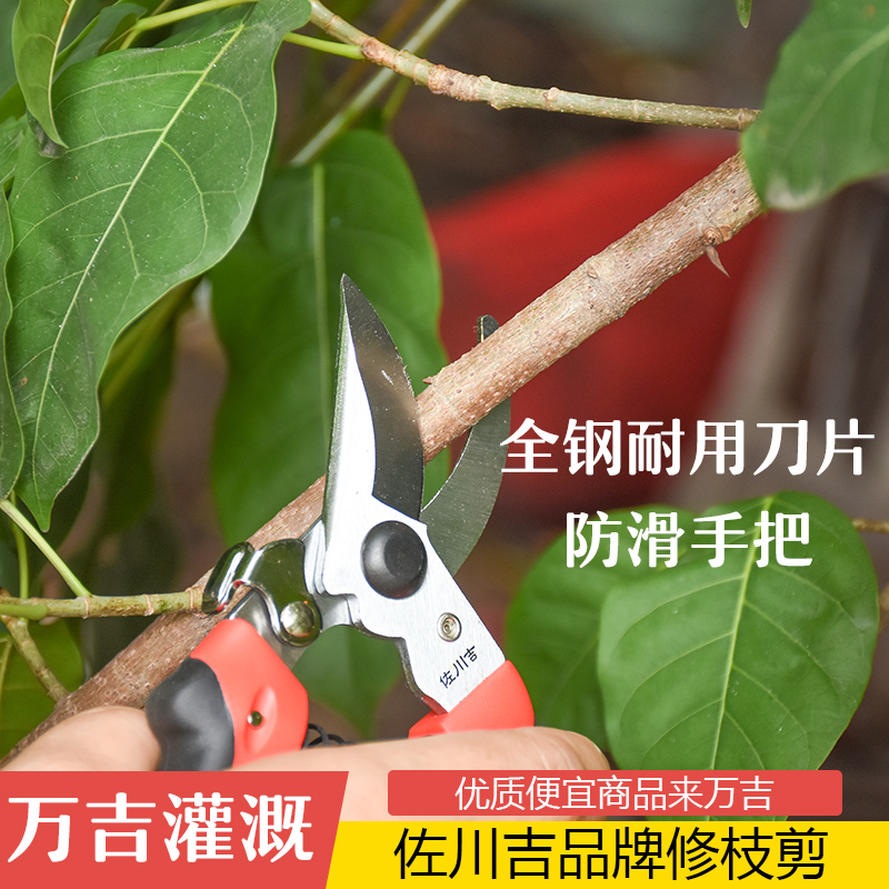 Taiwan original import Sagawaji gardening scissors pruning fruit tree pruning shears bonsai shears thick branch shears