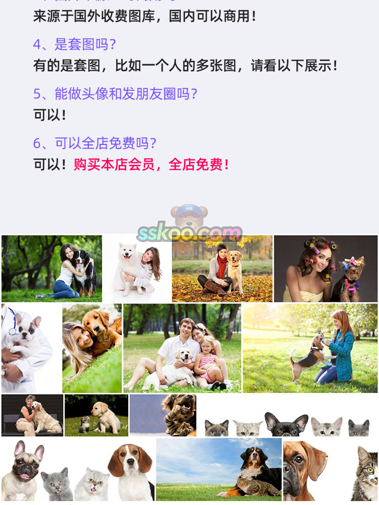 高清宠物狗狗小狗猫狗动物特写图片图库摄影照片设计背景素材插图2