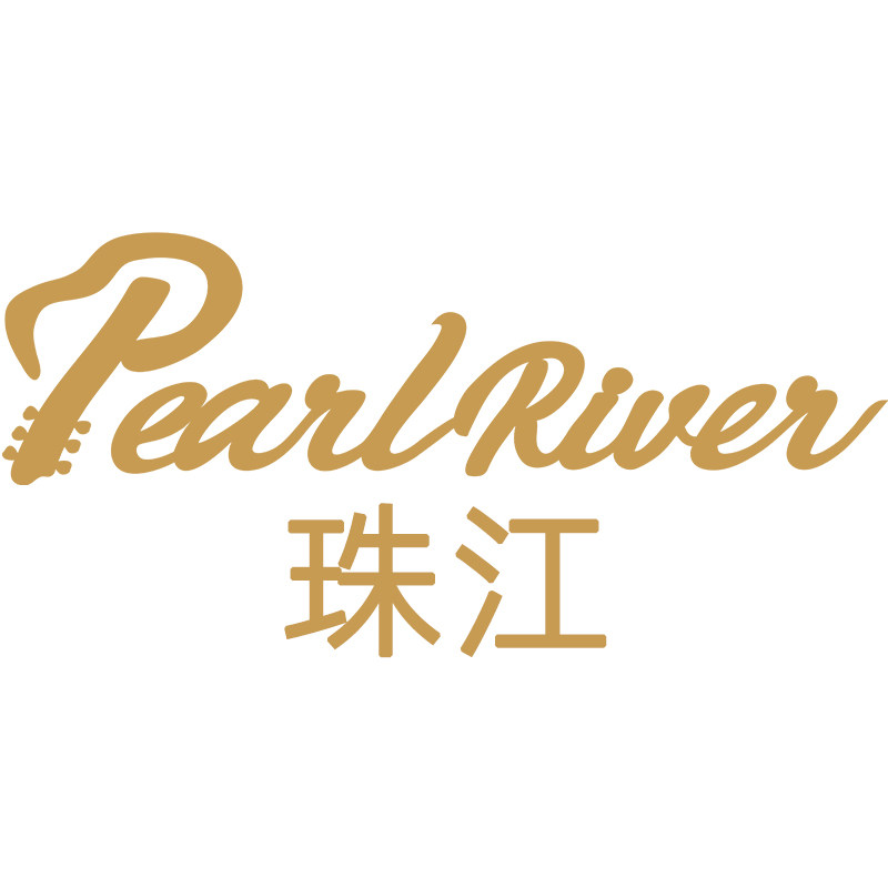 珠江乐器品牌店