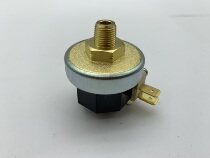  Electric heating steam boiler Iron special accessories Pressure controller