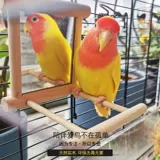 Попугание восемь братских игрушек Mirror Tiger Pearl Smart Parrot может повесить сплошные деревянные игрушки и аксессуары для клетки для птиц