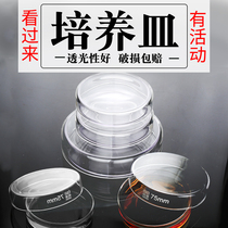 Minglass Petri Plate Glass High Borosilicate High Temperature Resistant Cell Agar Bacteria Microbial Medium Vibrio Kit
