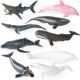 Children's Toys Simulate Marine Life Models: Solid Sperm Whales, Great White Sharks, Humpback Whales, Black Fin Sharks, Chinese Sturgeon, Dolphins