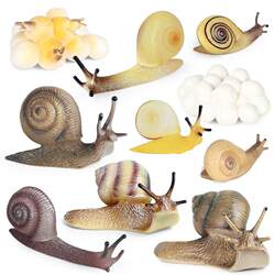 Children's Cognitive Toys, Simulated Animal Models, Solid Snail Insect Set, Educational Science and Education Gifts, Decorative Ornaments