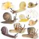 Children's Cognitive Toys, Simulated Animal Models, Solid Snail Insect Set, Educational Science and Education Gifts, Decorative Ornaments