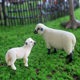Simulated animal model children's toys lamb sheep goat set farm pasture ornaments baby early education cognition