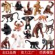 Children's Toy Cognitive Simulation Animal Model Solid Orangutan Monkey Ape Baboon Spider Monkey Long-Tailed Monkey Figurine