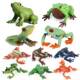 Children's Toys Simulated Wild Animal Models Amphibious Frogs Tadpoles Bullfrogs Tree Frogs Early Education Cognitive Gifts