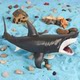 Children's Toys Solid Realistic Ocean Animal Models: Blue Whale, Great White Shark, Orca, Beluga Whale, Humpback Whale, Gray Whale Figurines