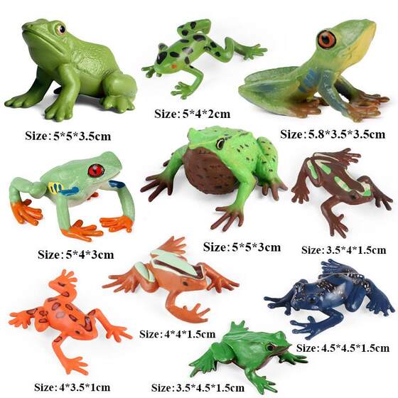 Children's Toys Simulated Wild Animal Models Amphibious Frogs Tadpoles Bullfrogs Tree Frogs Early Education Cognitive Gifts
