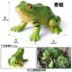Children's Toys Simulated Wild Animal Models Amphibious Frogs Tadpoles Bullfrogs Tree Frogs Early Education Cognitive Gifts