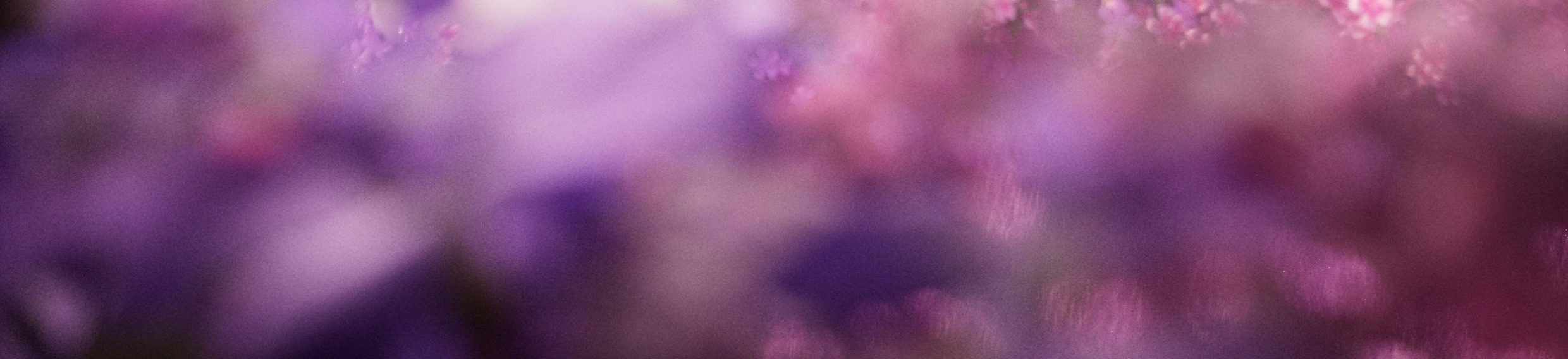 图片[2]-C4D梦幻鲜花情人节520礼物电商海报3D模型场景OC渲染工程带材质-cg男孩