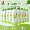 Chuanzi Nfc Coconut Water Pure Coconut Juice Freshly Squeezed 1L*6 Whole Box No Additives Pregnant Women Can Drink Natural Coconut Green Commercial Beverage