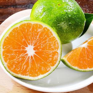 助农！宜昌薄皮无籽蜜橘