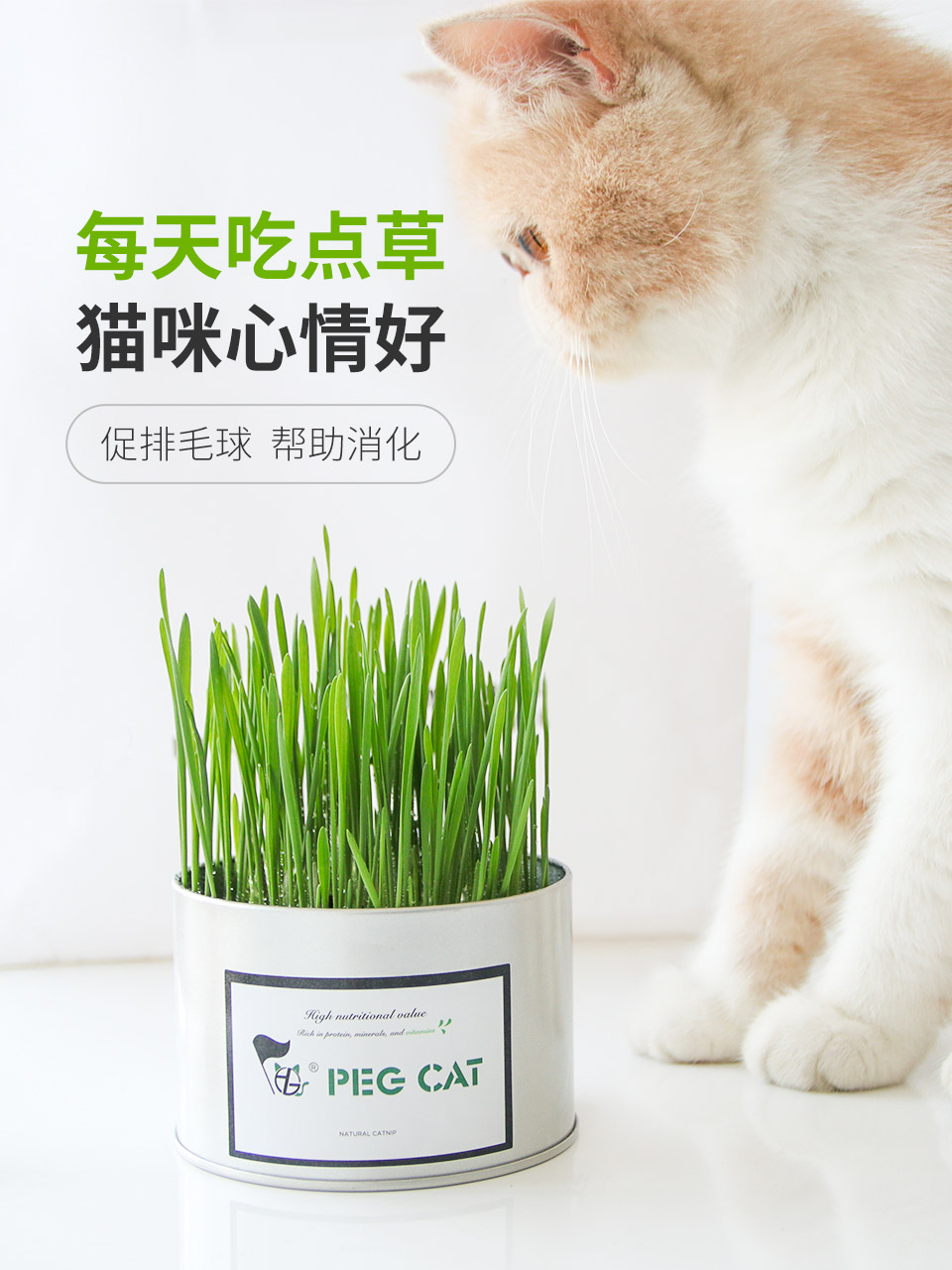 Tie Hanhan lazy cat grass potted plant easy to plant with seeds nutrition soiled hair ball catnip snacks cat supplies