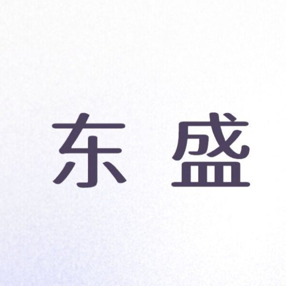 东盛长辉品牌店