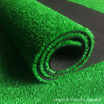 Simulation Lawn Rug Artificial Outdoor Plastic Grass Artificial Lawn Emulation Turf Plastic Artificial Fake Lawn Carpet
