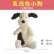 . Chó con cắn Teddy Fighting Bichon chó con có khả năng chịu cắn sang trọng cung cấp đồ chơi răng hàm để giải tỏa buồn chán - Mèo / Chó Đồ chơi