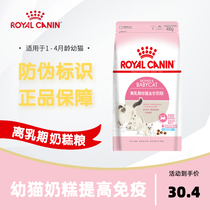 Royal BK34 cat milk cake 1-4 month old cat food 400g2KG10 kg of increased fertility and breastfeeding cat food 10KG