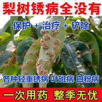 Pear Tree Special Medicine Pear Tree Disease All Cure Pear Tree Special Fungicide Pear Tree Rust disease Black spot Brown Spot for Soft Rot Disease