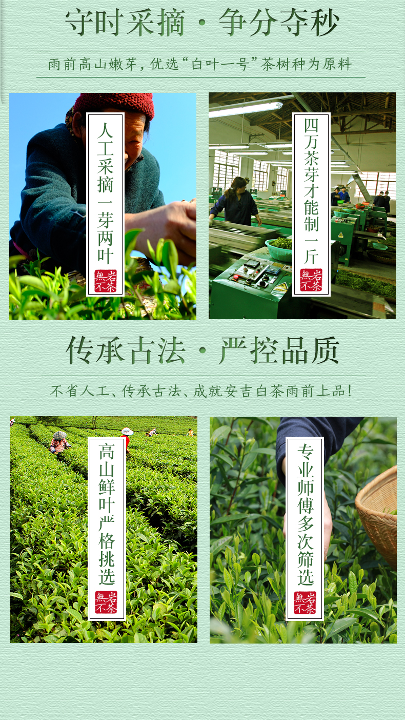 无岩 2021年新茶 雨前特级 安吉白茶 125g礼盒装 图5
