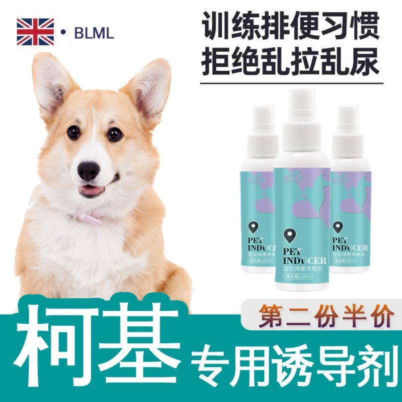 Kirky special training to guide small dogs positioning inducers to relieve themselves such as toilets chaotic urinals and defecation