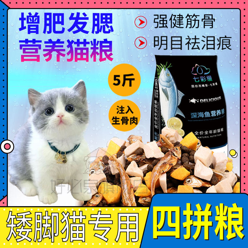 The dwarf Mankikang cat special cat cat full stage cat grain freezing dry four staple grain 5 pounds of common hair gain weight